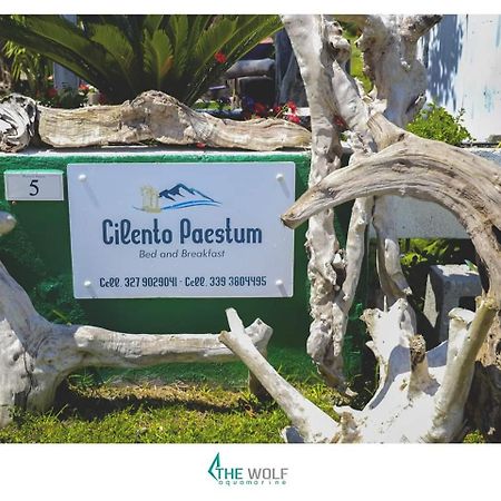 B&B Cilento Paestum Eksteriør bilde