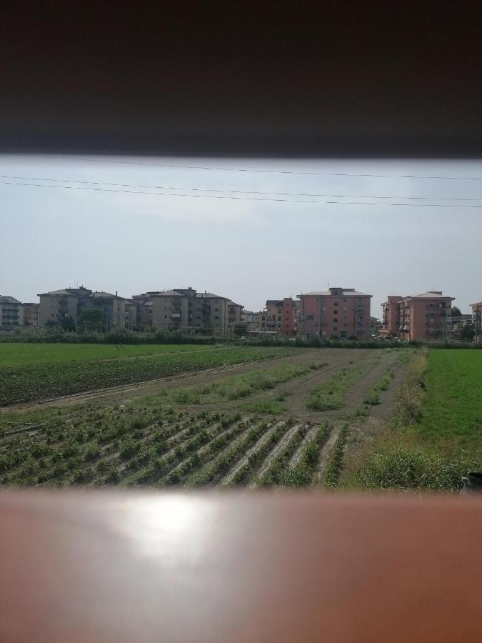 B&B Cilento Paestum Eksteriør bilde