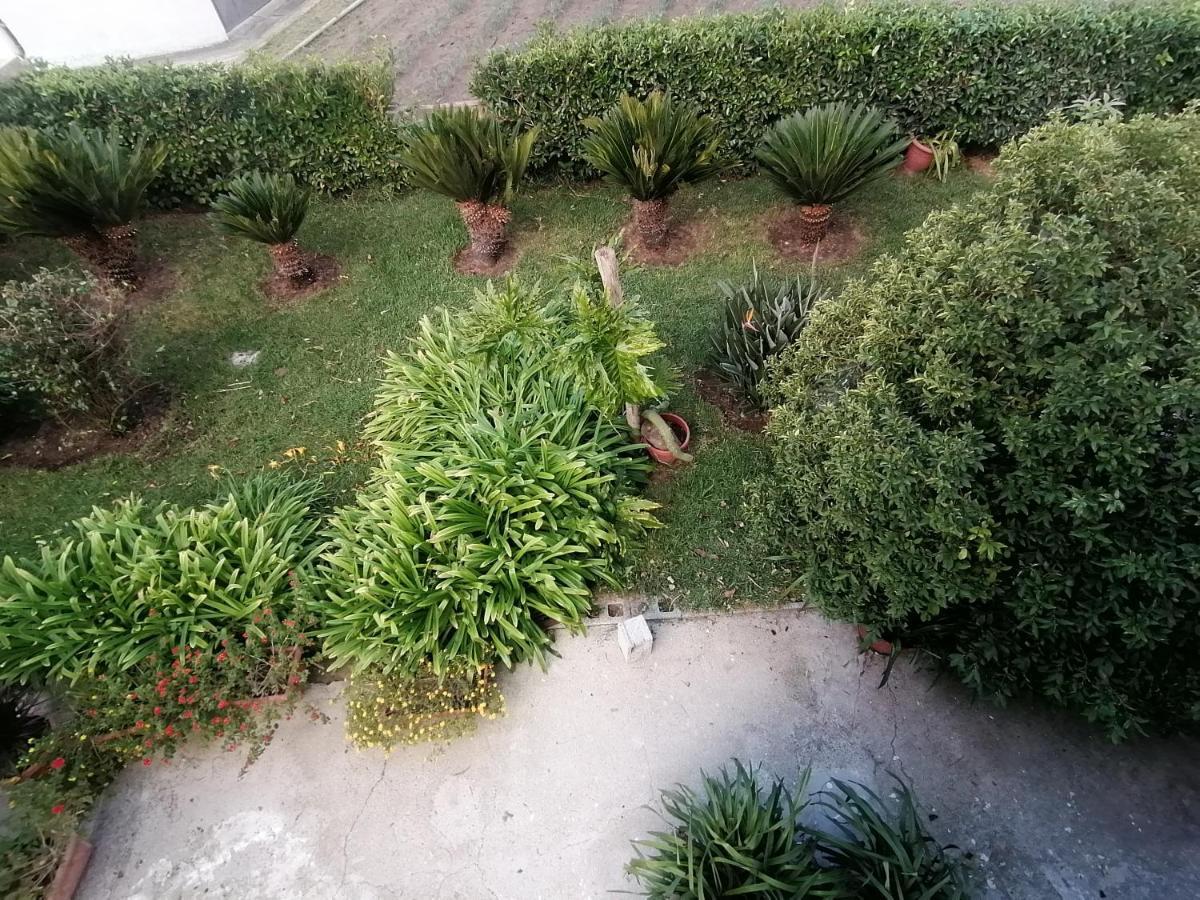 B&B Cilento Paestum Eksteriør bilde