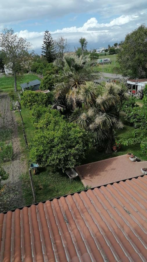 B&B Cilento Paestum Eksteriør bilde