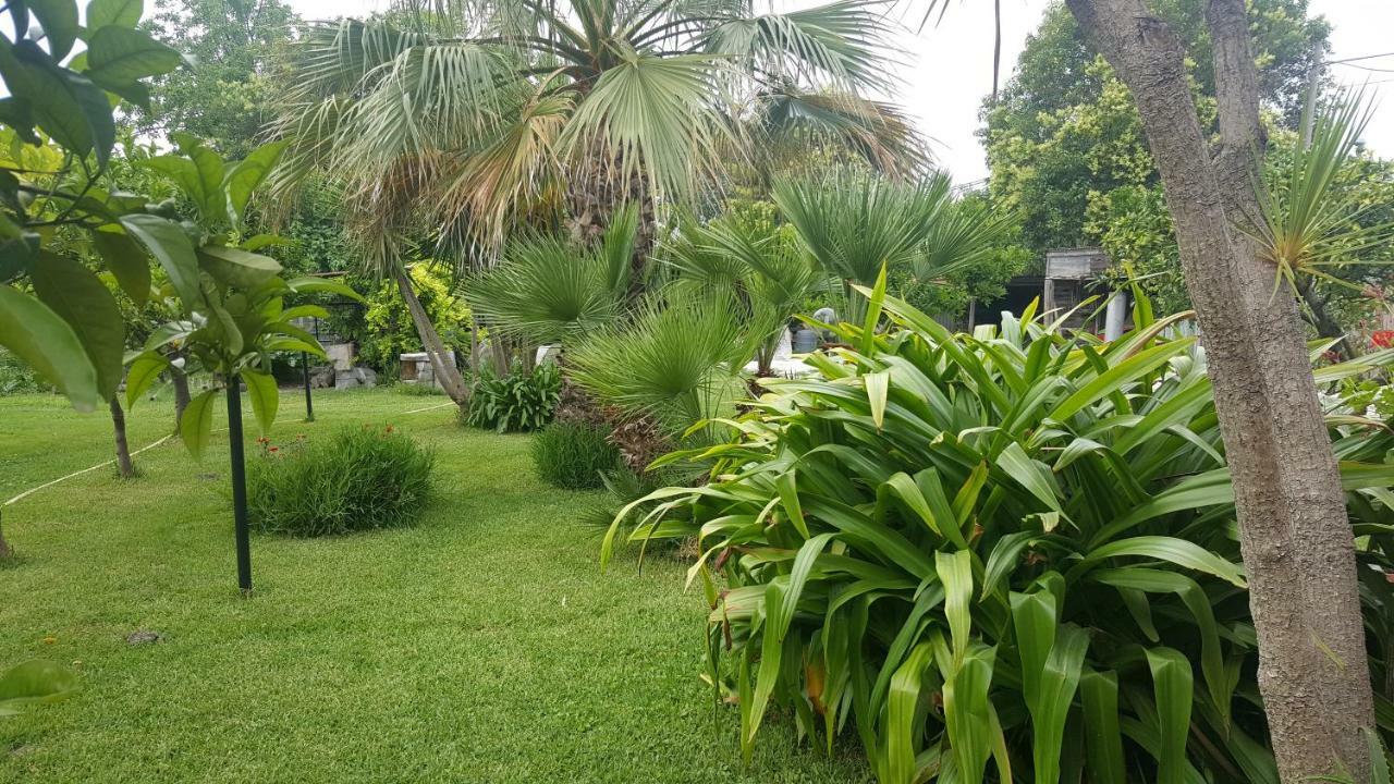 B&B Cilento Paestum Eksteriør bilde